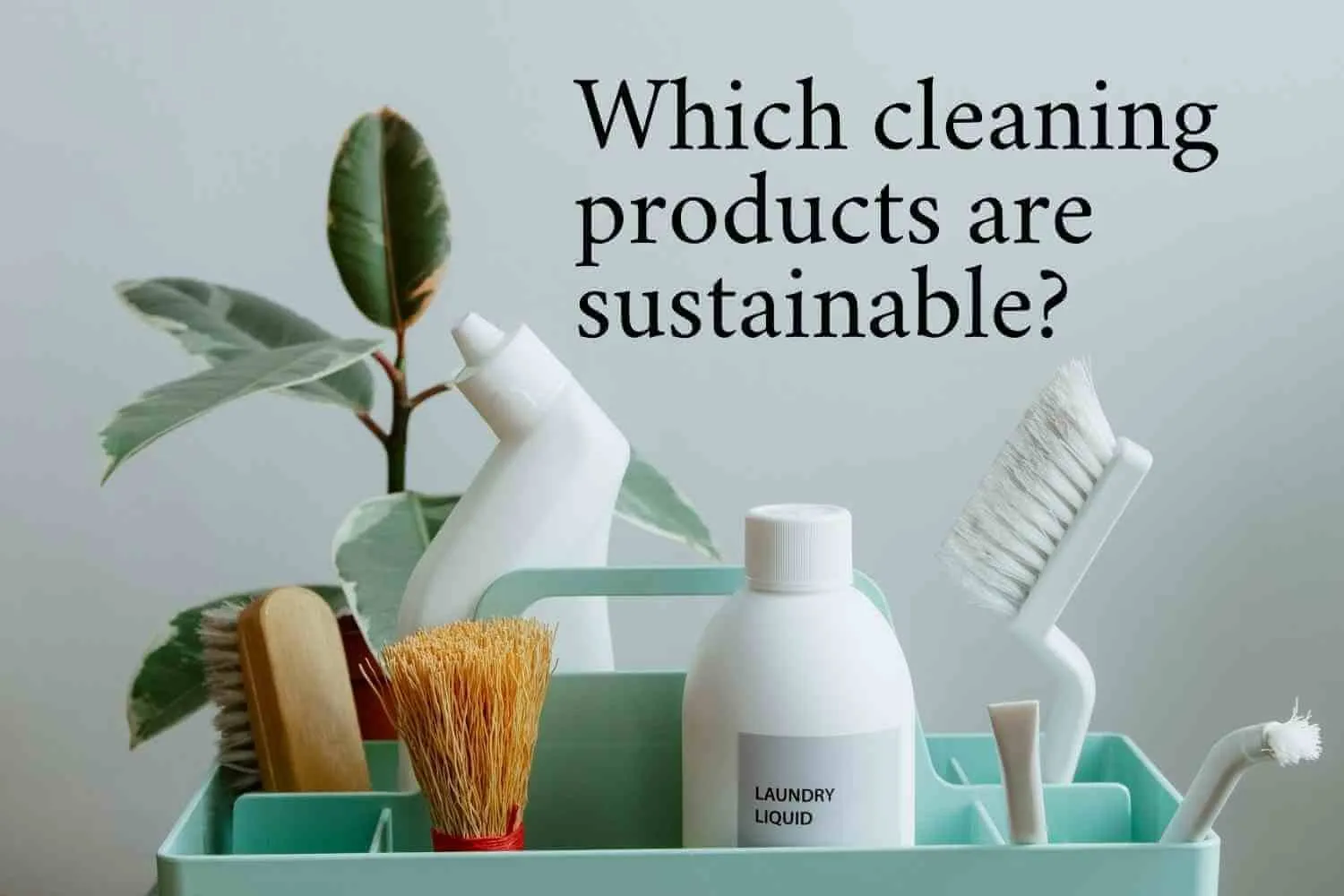 Eco-Friendly Products