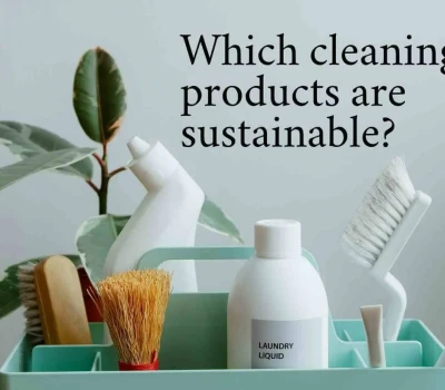 Embracing Sustainability: The Power of Eco-Friendly Products