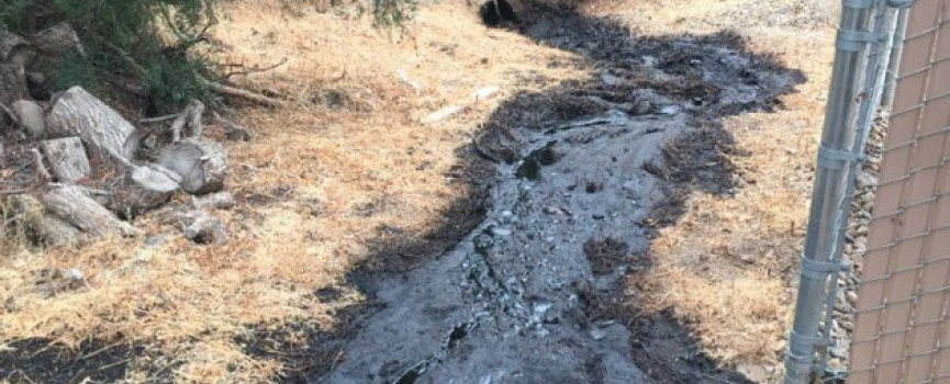 Soil reclamation after spills of oil